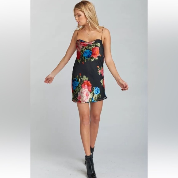 Show Me Your Mumu | Sabine Slip Dress | Small - Picture 3 of 10